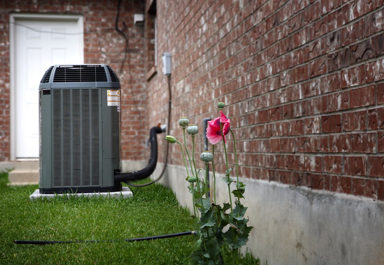 Flowers Near AC Unit